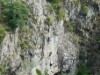 Image 36