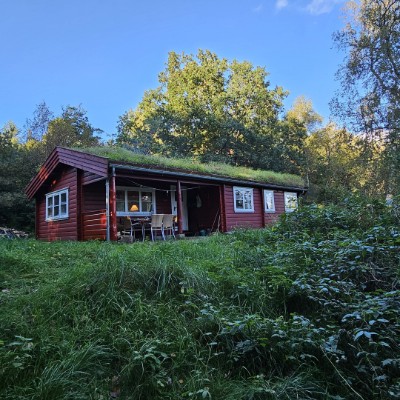 Bild 2