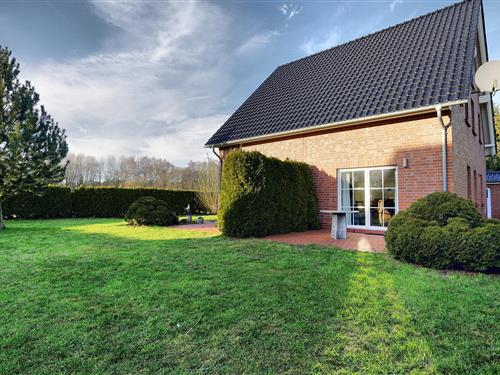 Sommerhus - 6 personer -  - Am Paalen - 18374 - Ostseeheilbad Zingst