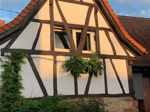 Ferielejlighed - 4 personer -  - Herrenberger Straße - 76831 - Birkweiler