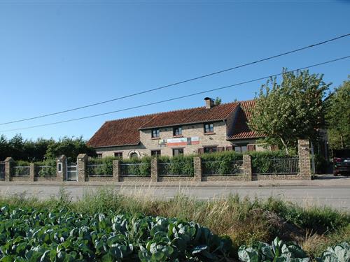 Sommerhus - 28 personer -  - 8691 - Leisele