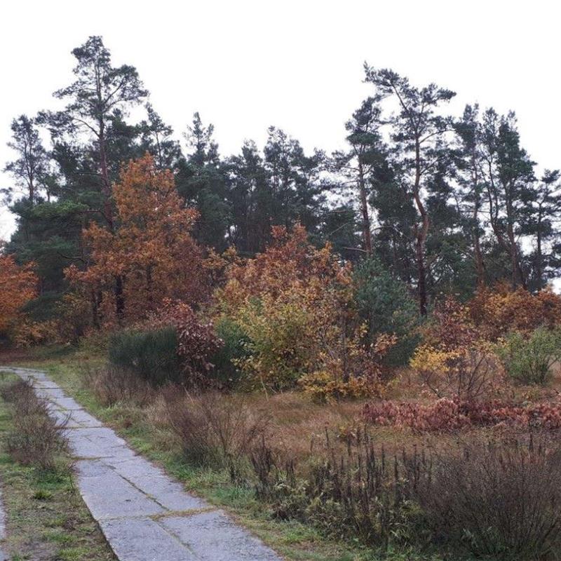 Ferielejlighed - 3 personer -  - Kiefernweg - 18356 - Fuhlendorf
