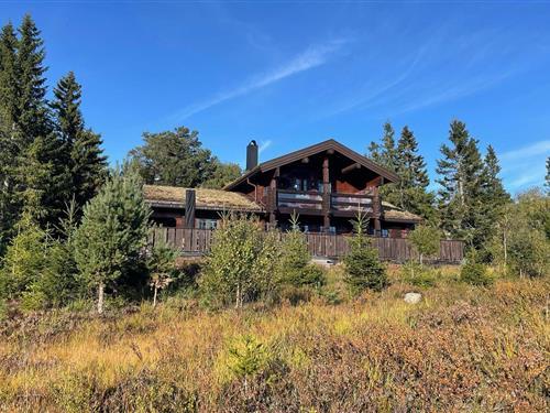 Holiday home - 8 persons -  - Sylvtjønn - Nissedal/Kyrkjebygdeheia - 3854 - Nissedal