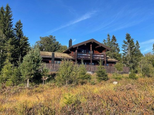 Sommerhus - 8 personer -  - Sylvtjønn - Nissedal/Kyrkjebygdeheia - 3854 - Nissedal