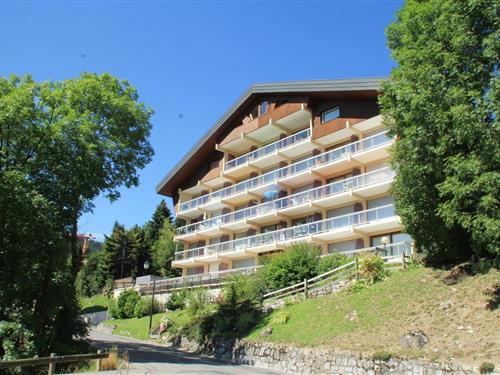 Ferielejlighed - 2 personer -  - 74390 - Châtel