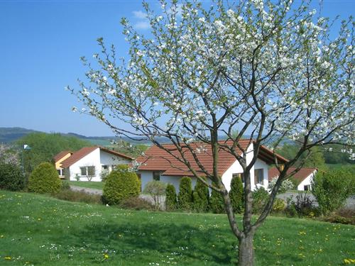 Holiday Home/Apartment - 4 persons -  - 37170 - Uslar