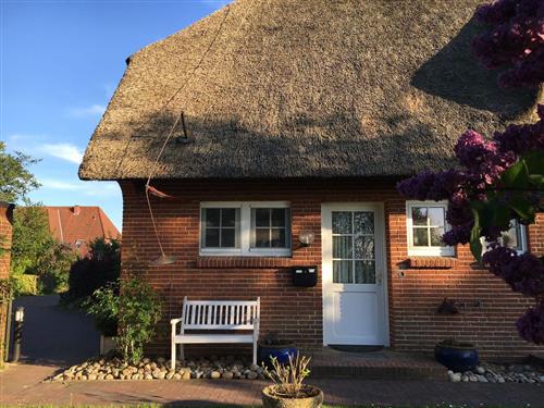 Sommerhus - 4 personer -  - Hahneburg - 25836 - Garding