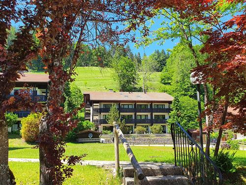 Ferielejlighed - 2 personer -  - Spitzsteinstraße - 83229 - Aschau Im Chiemgau / Sach