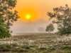 Image 30