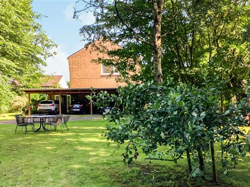 Ferielejlighed - 3 personer -  - Damm - Friedrichstadt(St. Annen) - 25776 - St. Annen