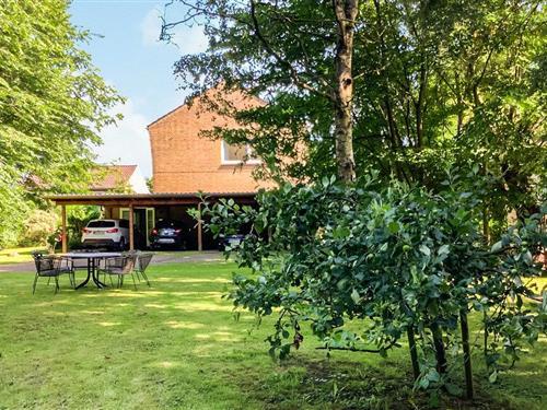 Ferielejlighed - 3 personer -  - Damm - Friedrichstadt(St. Annen) - 25776 - St. Annen