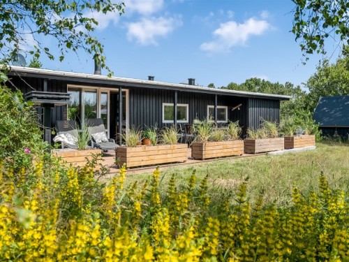 Sommerhus - 8 personer -  - Store Klit - Fanø, Rindby Strand - 6720 - Fanø