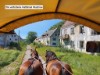 Billede 17