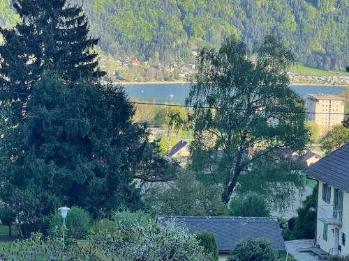 Holiday apartment - 4 persons -  - Tschöraner Weg - 9551 - Bodensdorf