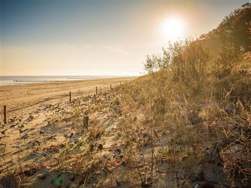 Ferieleilighet - 2 personer -  - Hauptstraße - 17459 - Ückeritz
