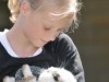 Bild 26