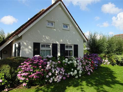 Holiday Home/Apartment - 4 persons -  - 9629PD - Steendam