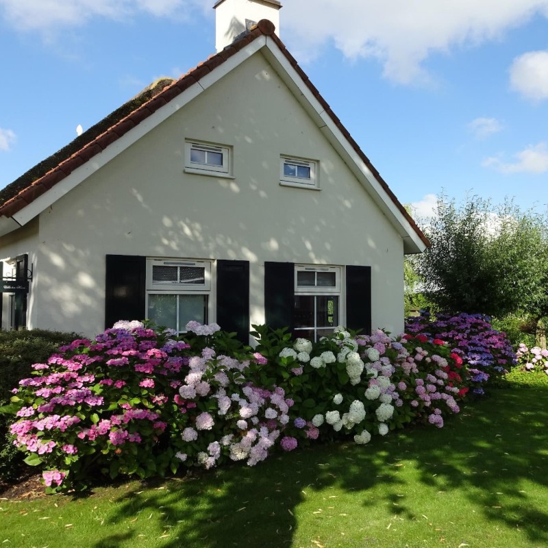 Sommerhus - 4 personer -  - 9629PD - Steendam