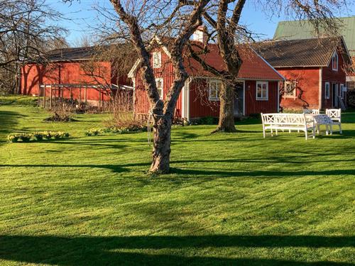 Feriehus - 4 personer -  - Gata - Kalmar/Karlskrona/Bergkvara - 385 98 - Bergkvara