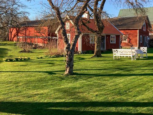 Sommerhus - 4 personer -  - Gata - Kalmar/Karlskrona/Bergkvara - 385 98 - Bergkvara