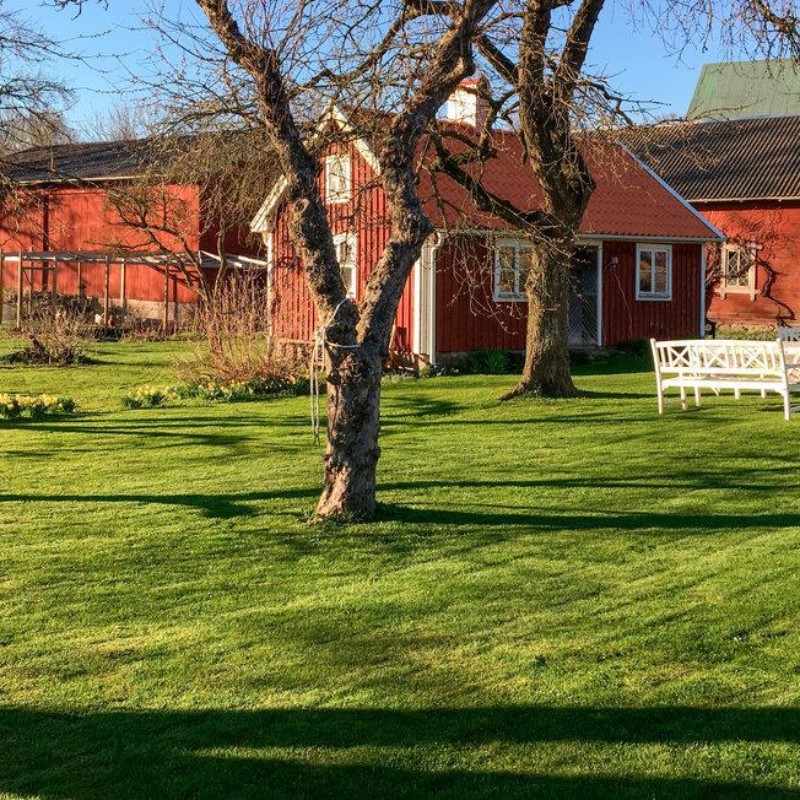 Sommerhus - 4 personer -  - Gata - Kalmar/Karlskrona/Bergkvara - 385 98 - Bergkvara