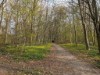 Bild 17