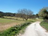 Billede 29