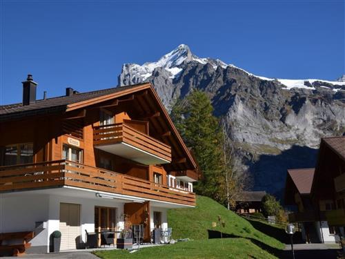 Holiday home - 6 persons -  - Grindelwald - 3818