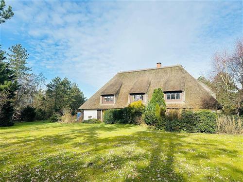 Holiday apartment - 3 persons -  - Pestalozzistr. - 25826 - Sankt Peter-Ording