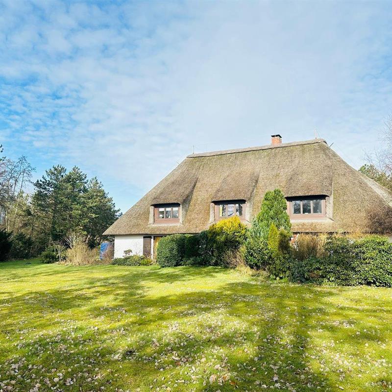 Ferielejlighed - 3 personer -  - Pestalozzistr. - 25826 - Sankt Peter-Ording