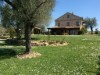 Image 4 - Outside