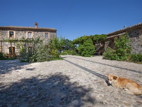 Holiday apartment - 6 persons -  - contrada montiolo - 05013 - Castel Giorgio
