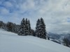 Bild 20 - Inde