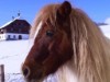 Bilde 38 - Inne