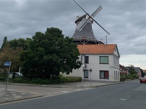 Sommerhus - 3 personer -  - 26316 - Varel