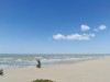 Billede 7