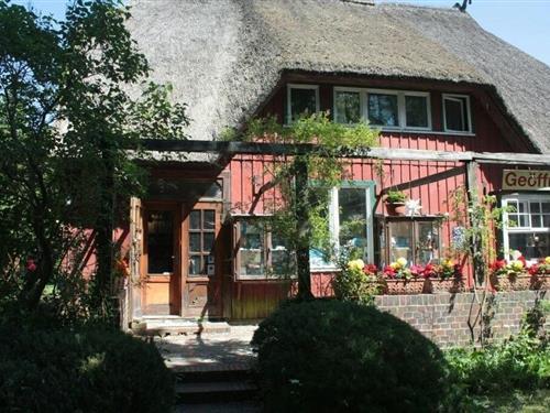 Ferieleilighet - 2 personer -  - Bernsteinweg - 18375 - Prerow