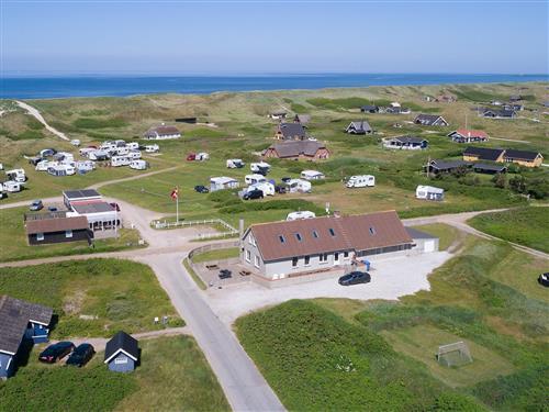 Sommerhus - 25 personer -  - Søholmvej - Årgab - 6960 - Hvide Sande