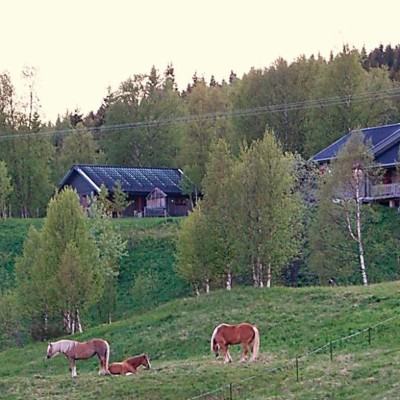 Billede 4