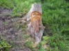 Bild 22