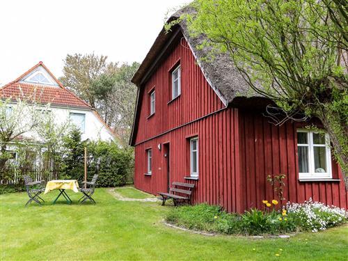 Ferielejlighed - 4 personer -  - Hafenstraße - 18374 - Zingst / Ostseebad Zingst