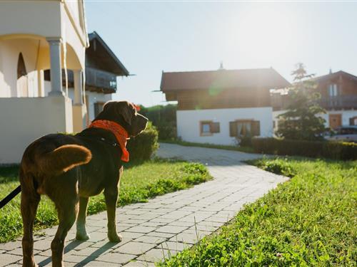 Sommerhus - 4 personer -  - 94137 - Bayerbach