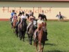 Billede 7