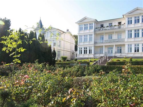 Ferielejlighed - 4 personer -  - Dünenstraße - 17454 - Zinnowitz