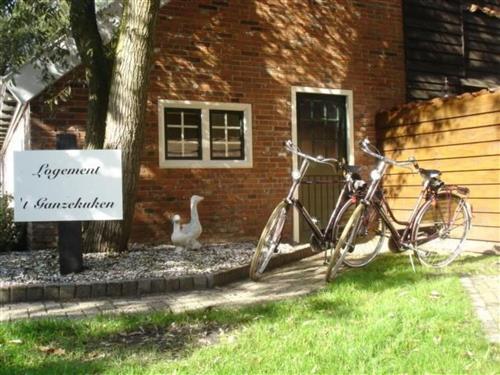 Holiday home - 2 persons -  - Vriescheloo - 9699 PK