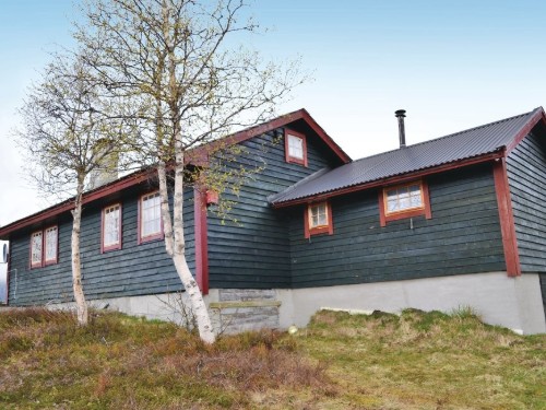 Holiday home - 6 persons -  - Isdalsvegen - Vøringsfoss/Eidfjord - 5785 - Vøringsfoss