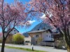 Bilde 33 - Ude