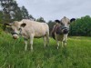 Bild 6 - Aussen
