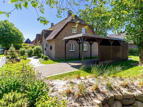 Feriehus - 6 personer -  - Am Tümmeldiek - 25826 - Sankt Peter-Ording