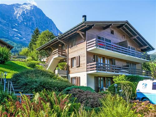 Ferielejlighed - 4 personer -  - Grindelwald - 3818